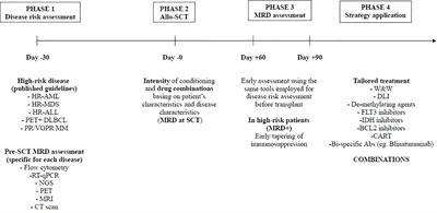 Editorial: Strengths and Challenges of Allo-SCT in the Modern Era